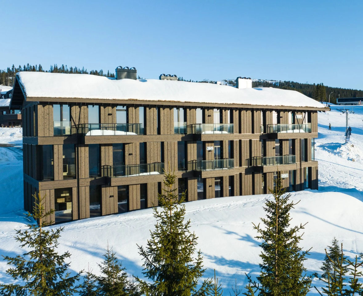 Backyard - Thumbnail 5